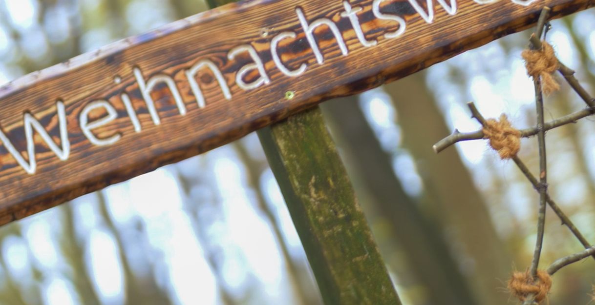 Holzschild mit der Aufschrift 'Weihnachtsweg' im Wald.